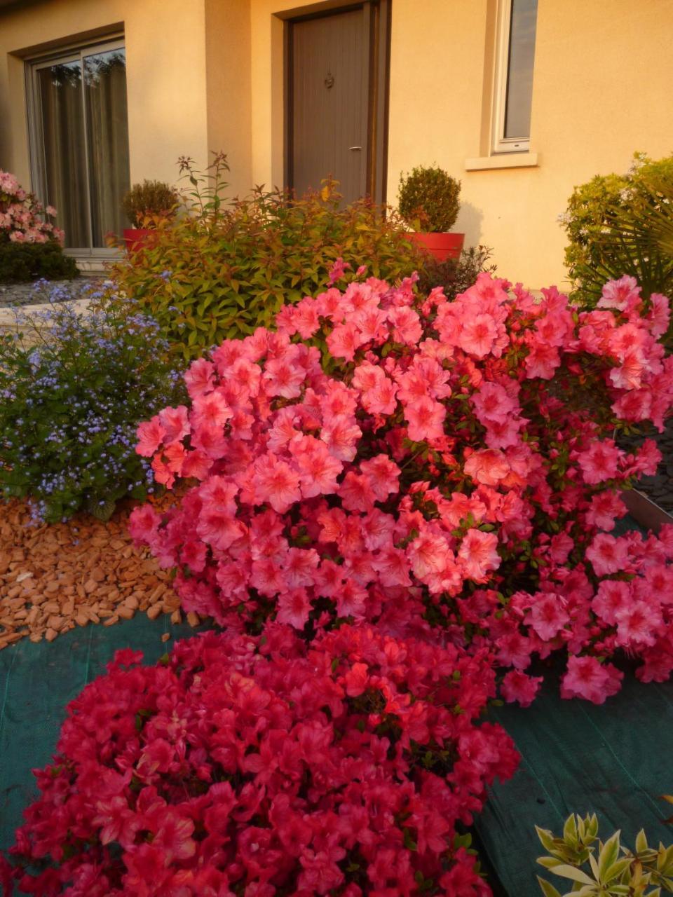 Chez Bernard Et Nicole Bed & Breakfast Betton Luaran gambar
